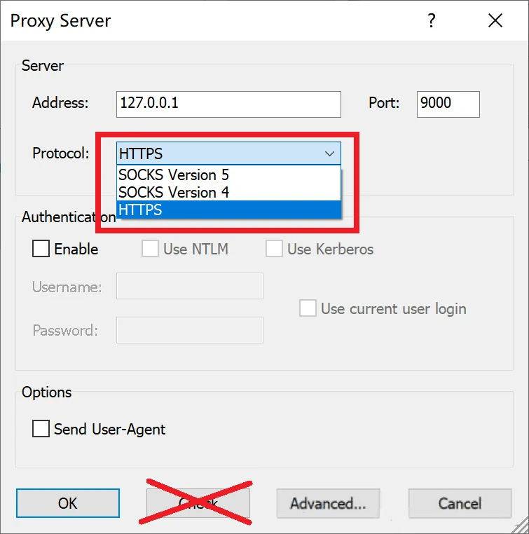 HTTPS Proxy